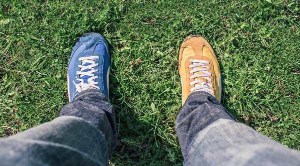 宿舍分配技巧：如何拿到理想莫纳什大学宿舍？